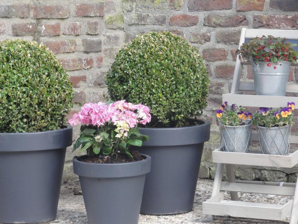 B&B Appartementen Engelenhof Stevensweert 部屋 写真